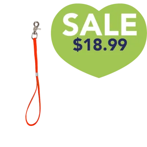15 Inch Shorty Loop Orange by Alpha Grooming