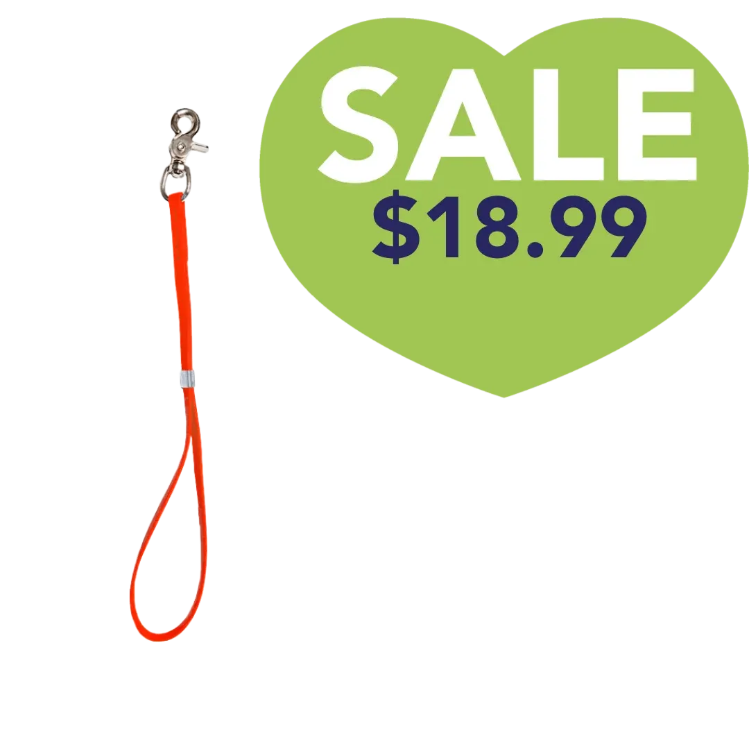 15 Inch Shorty Loop Orange by Alpha Grooming