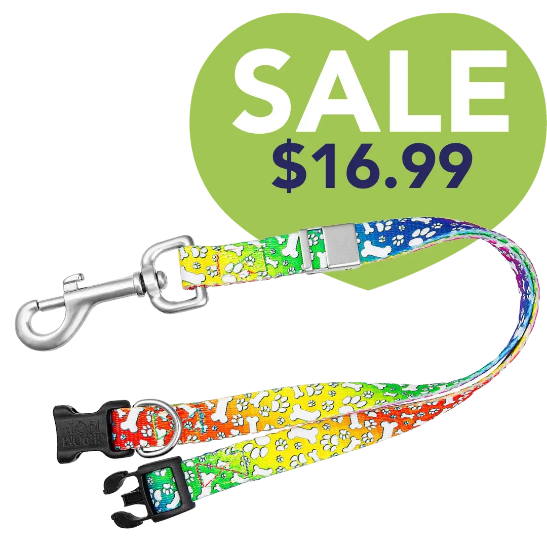 16" Polyester Loop Trippy Dog by Groom Loop