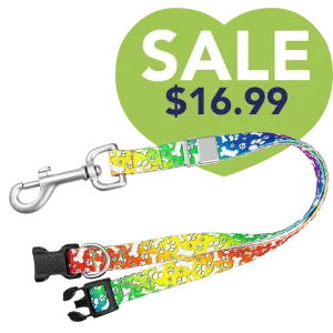 16" Polyester Loop Trippy Dog by Groom Loop