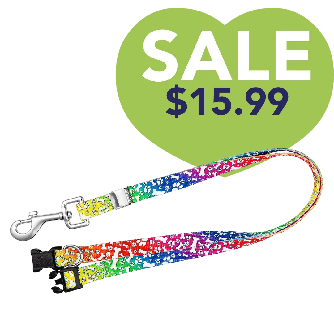 24" Polyester Loop Trippy Dog by Groom Loop