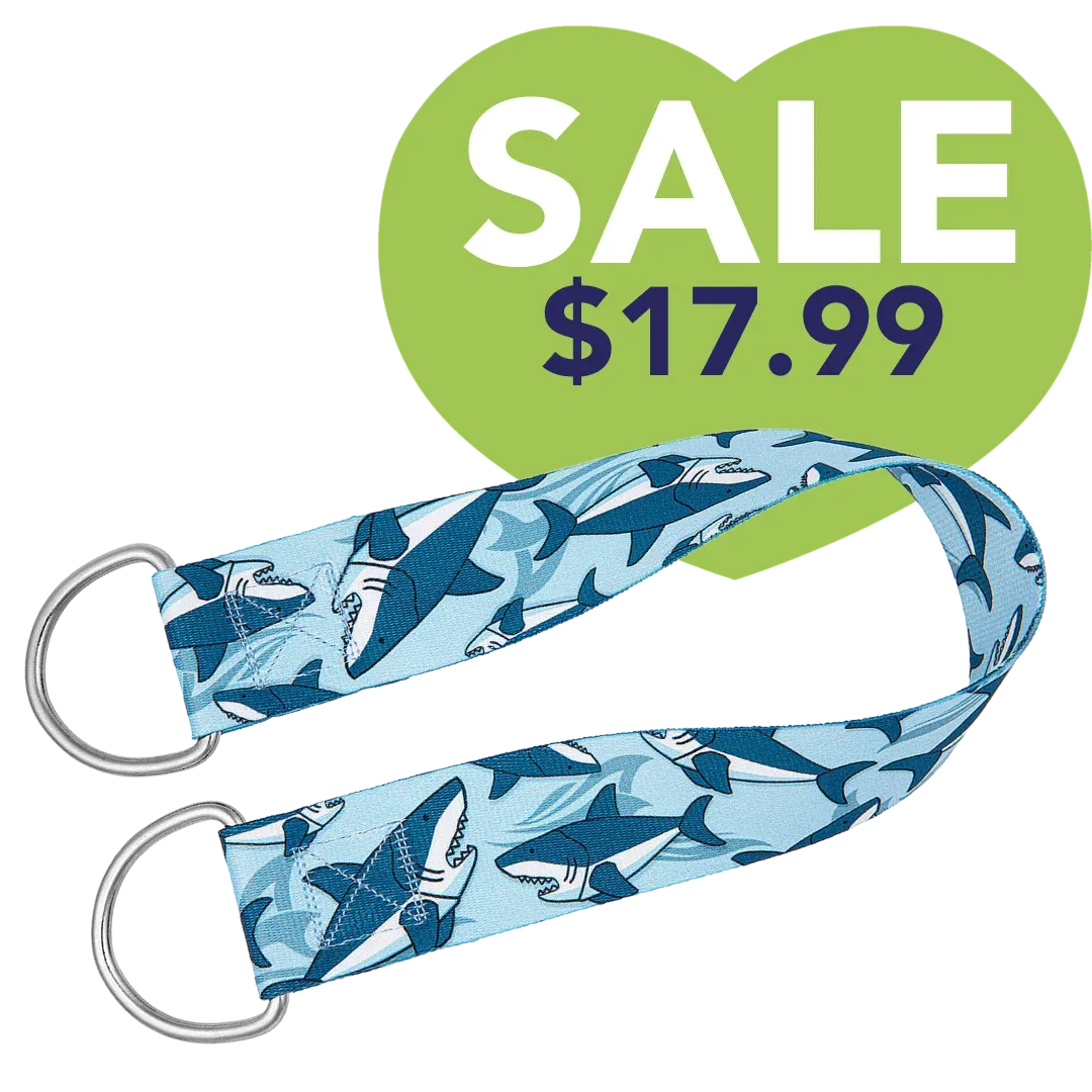 25" Belly Band Blue Shark by Groom Loop