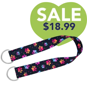 32" Belly Band Pretty Paws by Groom Loop