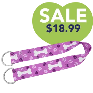 32" Belly Band Purple Bone by Groom Loop