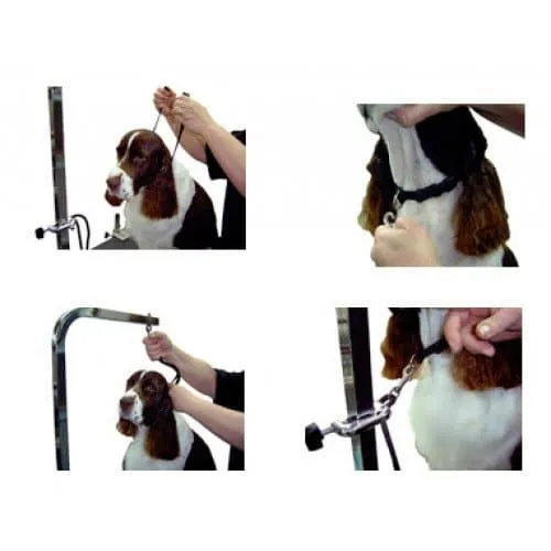 5/8" Large Grooming Loop Blue by Groomer's Helper