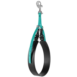 AXL Belly Band Teal With Three Sizes by Alpha Grooming