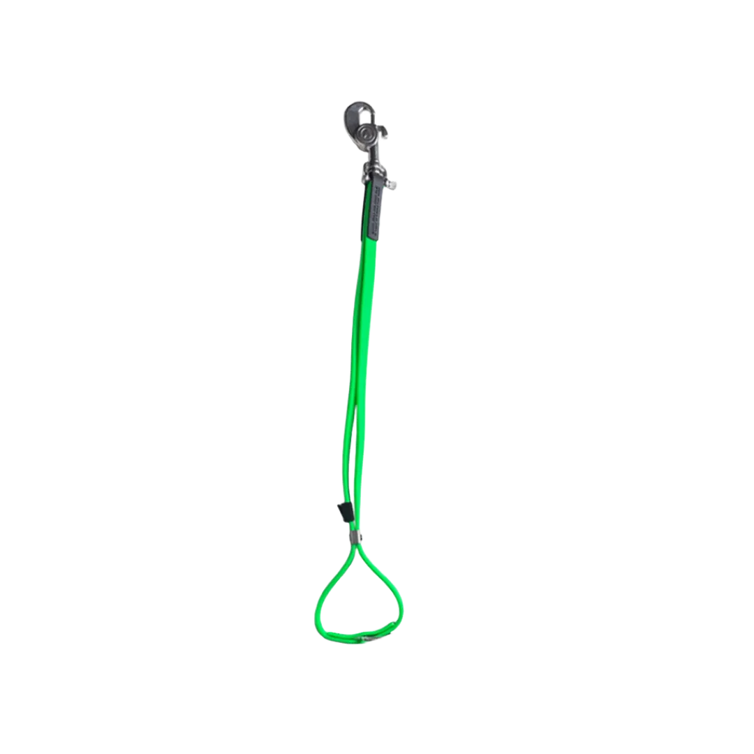 AXL Loop in Lime by Alpha Grooming