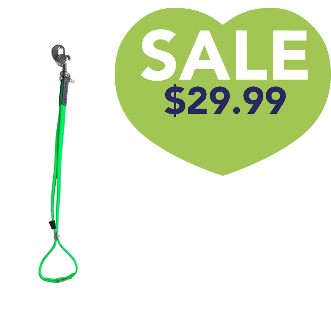 AXL Loop in Lime by Alpha Grooming