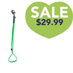 AXL Loop in Lime by Alpha Grooming