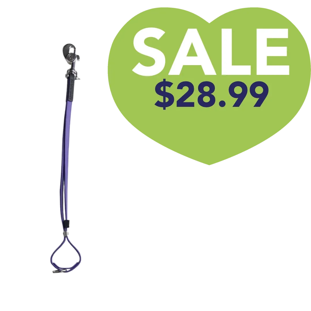 AXL Loop in Purple by Alpha Grooming