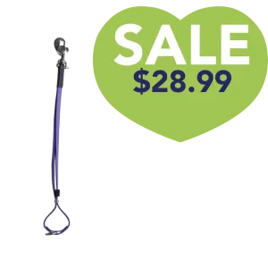AXL Loop in Purple by Alpha Grooming