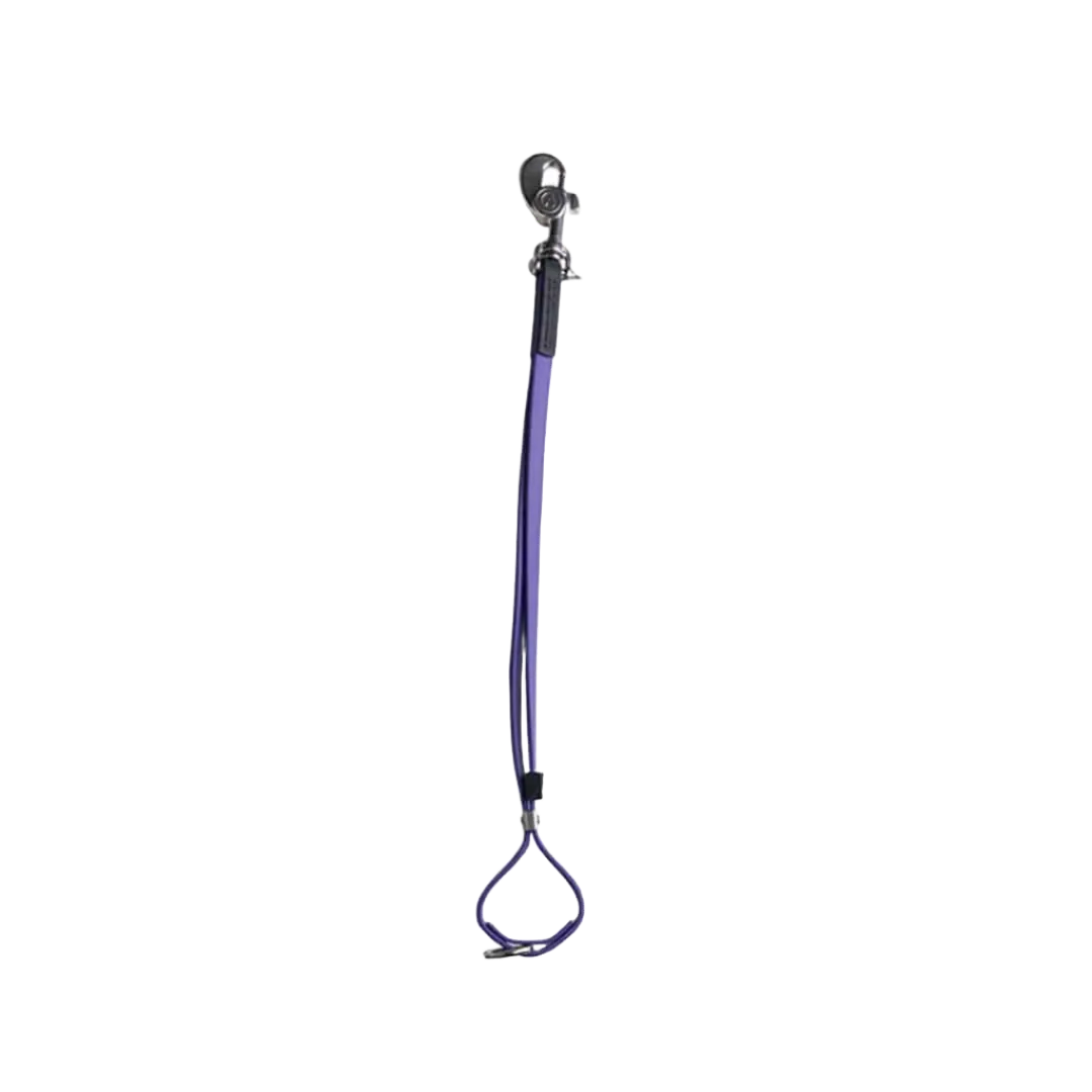 AXL Loop in Purple by Alpha Grooming