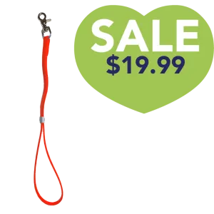 Classic Grooming Loop Orange by Alpha Grooming