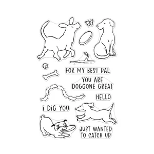 CM715 Playful Pets