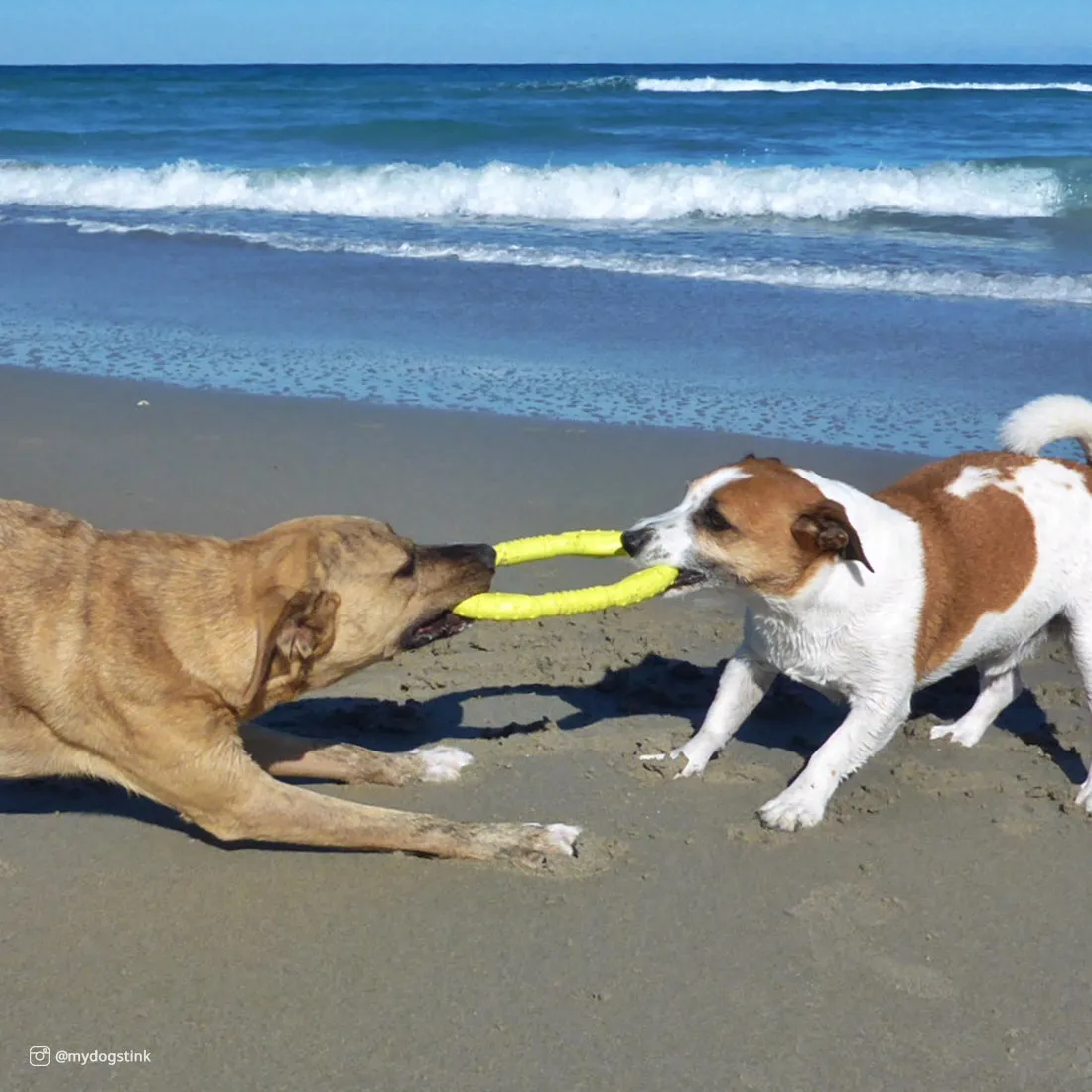 Coastal Pet Products ProFit Foam Toy Mega Ring (12")