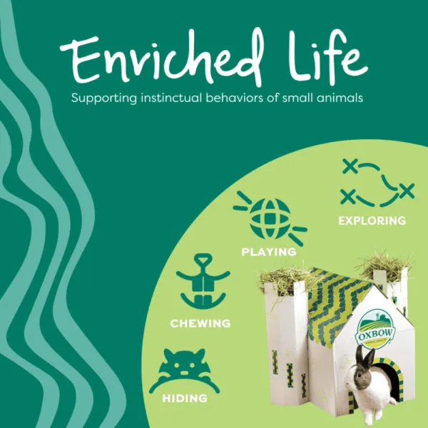 Enriched Life Timothy Lollipop - Apple