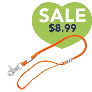 Grooming Noose in Orange by Aeolus