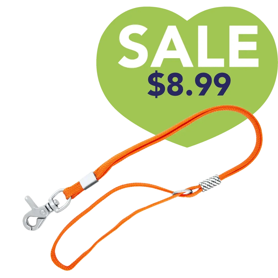 Grooming Noose in Orange by Aeolus