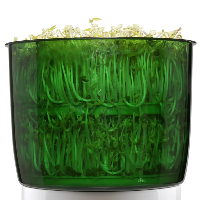 High-Capacity Mung Bean Sprouter