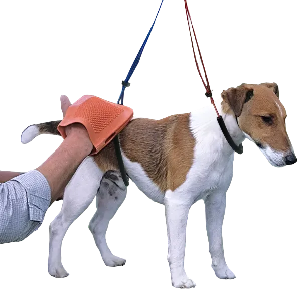 No-Sit Haunch Holder Giant by Proguard
