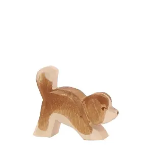 Ostheimer St Bernard Dog Small Puppy Head Down