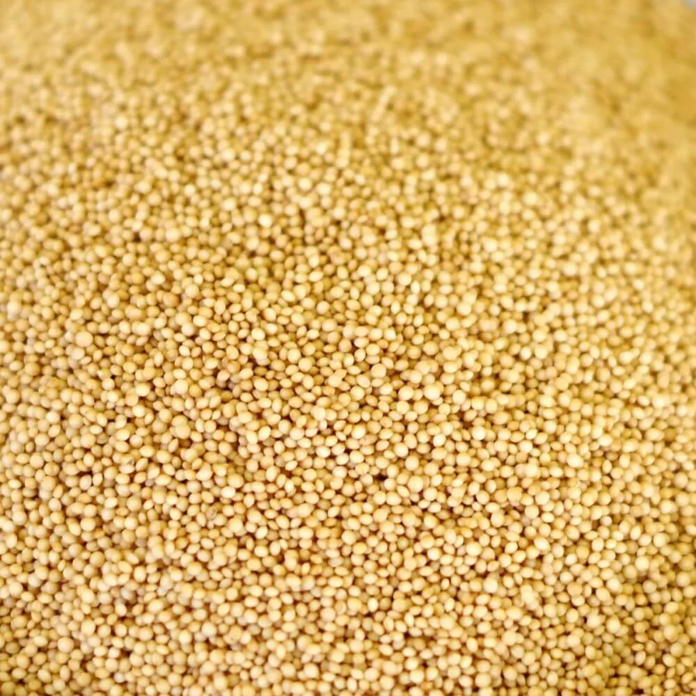 Rainy Day Foods Grain Variety Pack - Six #10 Cans