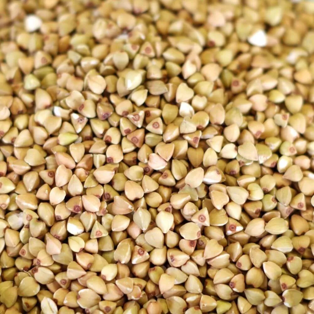 Rainy Day Foods Grain Variety Pack - Six #10 Cans