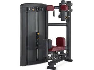Refurbished Life Fitness Insignia Series Torso Rotation