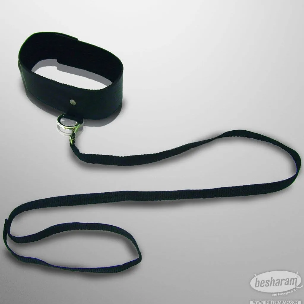 Sex & Mischief Leash & Collar