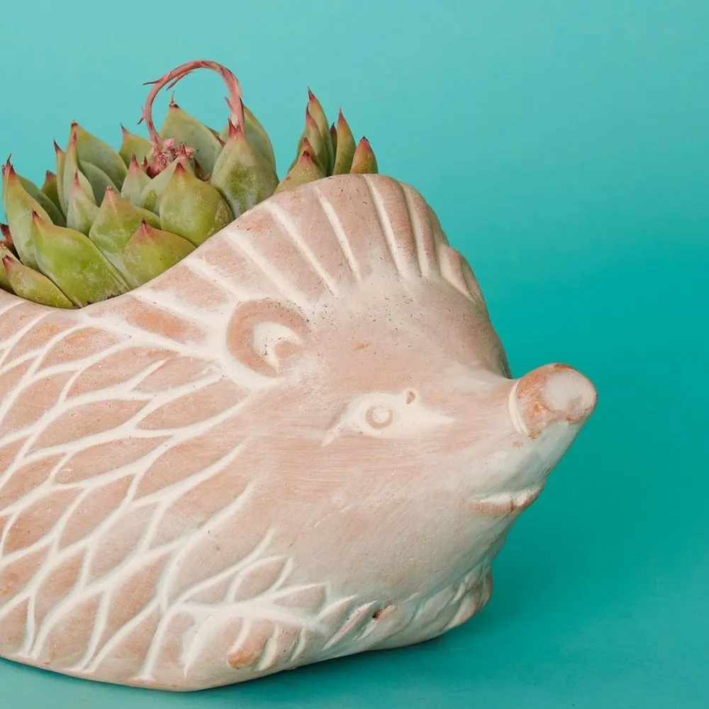 Small Terracotta Hedgehog Pot