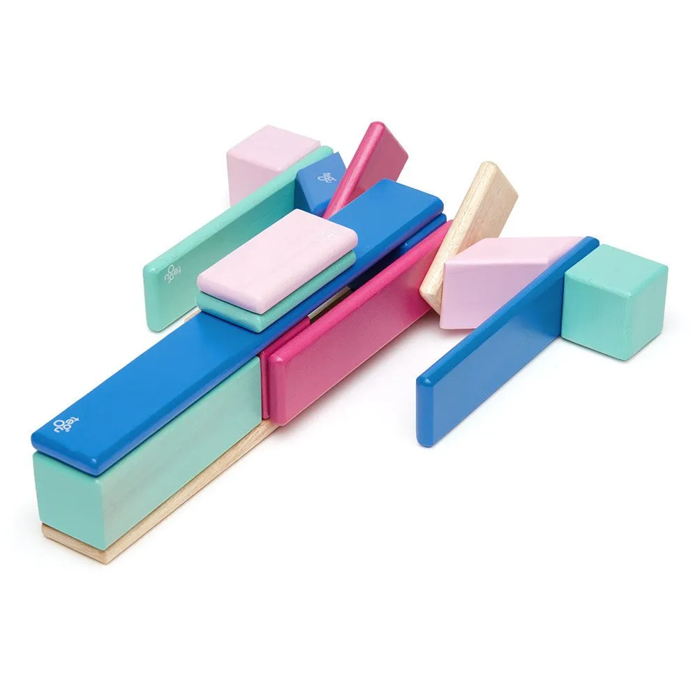 Tegu 24-Piece Magnetic Block Set - Blossom