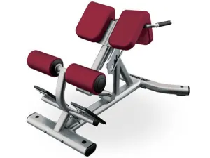 Used Life Fitness Signature Back Hyperextension