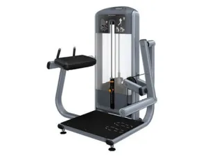 Used Precor Discovery Series Glute Extension
