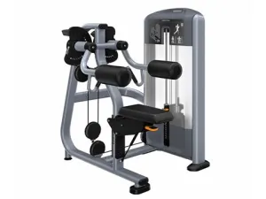 Used Precor Discovery Series Lateral Raise