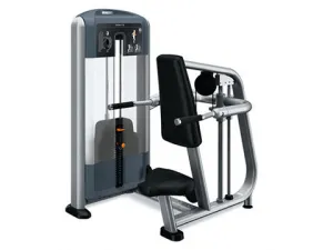 Used Precor Discovery Series Seated Dip